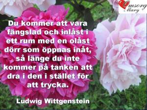 1981940_640252709376807_1178001337_n