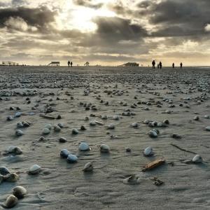 10897986_802942909744955_1610825139285892609_n