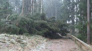 10909311_10153670887663868_1880053411_o