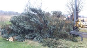 10913465_10153678050298868_1265385017_n