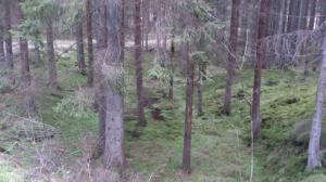 10918364_10153653571468868_2129042682_o