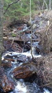 10922251_10153653572638868_919954028_n