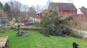 10922251_10153678025843868_63268490_n