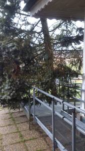 10927440_10153671045883868_215949049_o