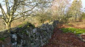 10927636_10153693181738868_251813956_o