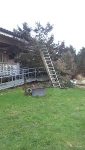 10927905_10153678001953868_672333391_n