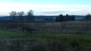 10938825_10153692920388868_1467461658_o