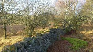 10939328_10153693181038868_113457006_o