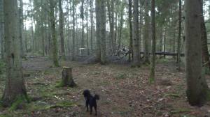 10939425_10153693065073868_1447406748_o