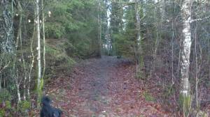 10939466_10153693065593868_645056540_o