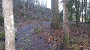 10939658_10153693069243868_967593271_o