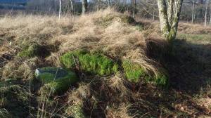 10943172_10153693182803868_1265498113_o