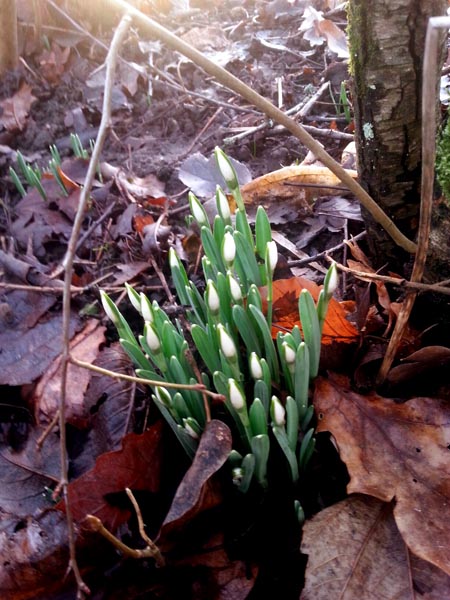 wpid-20150127_152315_liten