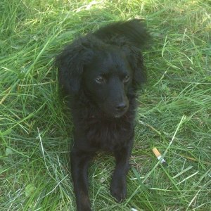 10431540_10152959833543868_2173743769157890127_n