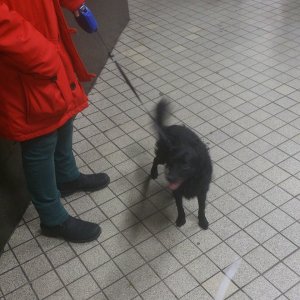 10748775_10153400548528868_293079117_n