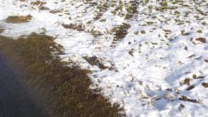 10967437_10153748465303868_182799183_o