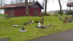 11002971_10153786897338868_1977058104_o