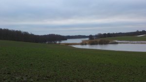 11003076_10153775577608868_1216542234_o