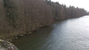 10864639_10153838361668868_1933747892_o