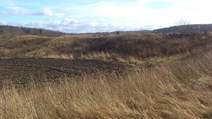 11028314_10153831931888868_1711187648_o