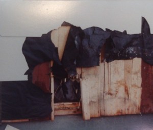 11028570_10153825995653868_1999158000_o (1)