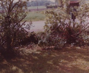 11028680_10153825992143868_89452523_o