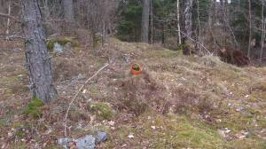 11032569_10153912866128868_1230963903_o