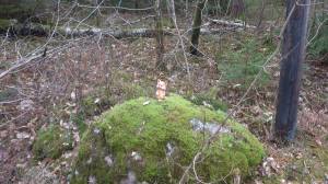 11034127_10153912849438868_1684393721_o