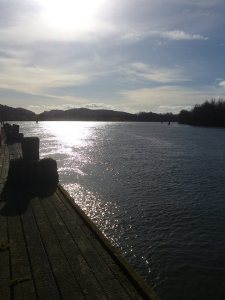 11040011_10153831935528868_290486222_n