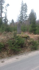 11051634_10153834878453868_1764658161_n