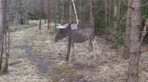 11065530_10153912869683868_1290046234_o