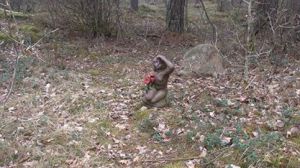 11084514_10153912863398868_1616692172_n