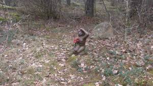 11086756_10153912863398868_1616692172_o