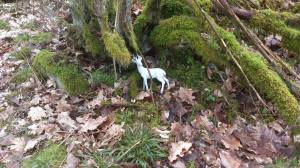 11087111_10153912873453868_95371807_o