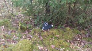 11087135_10153912834218868_1762953242_o