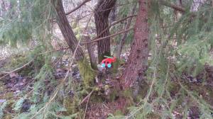 11087357_10153912831928868_1722591725_o