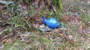 11089118_10153912878348868_1156565863_o