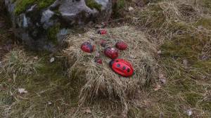 11090319_10153912824708868_623276296_o