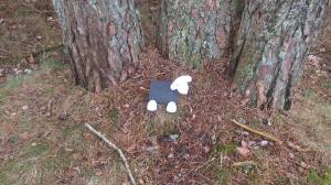 11094530_10153912868368868_784375181_o