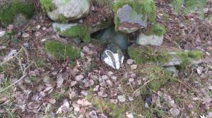 11097274_10153912842588868_2046394503_o