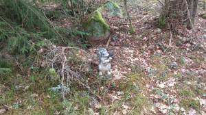 11103629_10153912839543868_1066649992_o