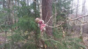 11125689_10153912850348868_1834093601_o