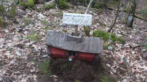 11126286_10153912855783868_425946054_o