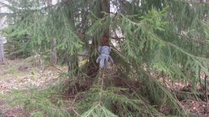 11127155_10153912840633868_1411449877_o