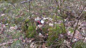 11128045_10153912877043868_832422178_o