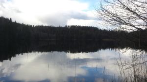 11131076_10153918722908868_66870683_o