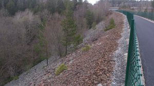 11132378_10153949336453868_1018247173_o