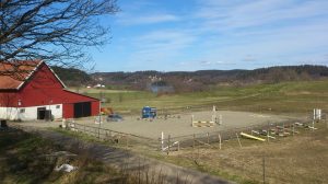 11148110_10153967121343868_2127753470_o