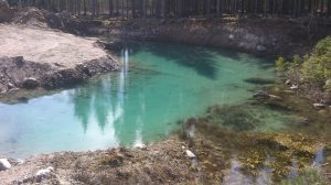 11153625_10153966547608868_599516982_o