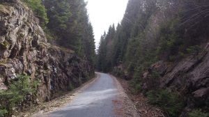 11157341_10153949333213868_1261967214_o